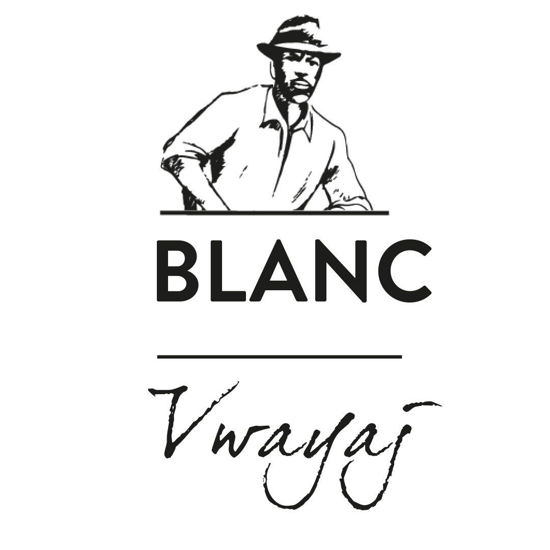 LOGO_ESB_blanc