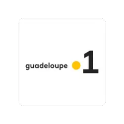 logo-presse-guadeloupe 1ere