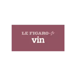 Quels sont les 10 meilleurs rhums blancs à déguster purs ? – Figaro vin