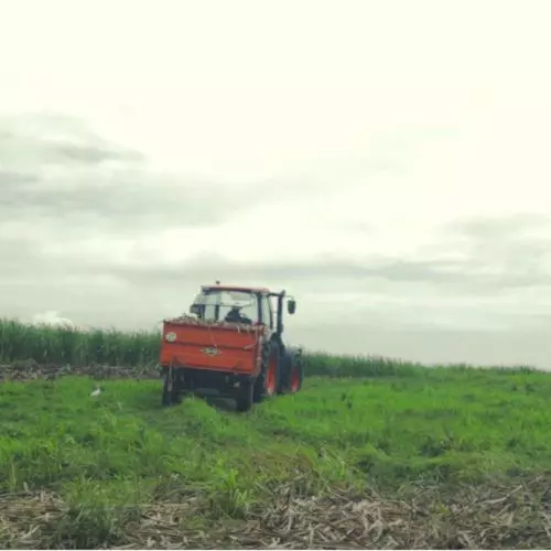 tracteur-Vertisols